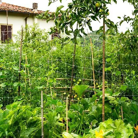 Appartement Le Balze *